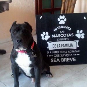 Meet your Posher, Carlos a